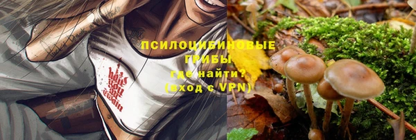 скорость Новозыбков