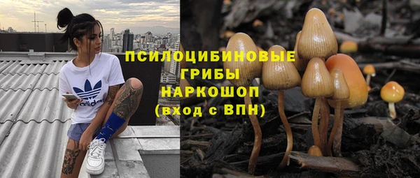 скорость Новозыбков