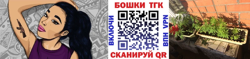 Бошки Шишки THC 21%  купить   Нижняя Тура 